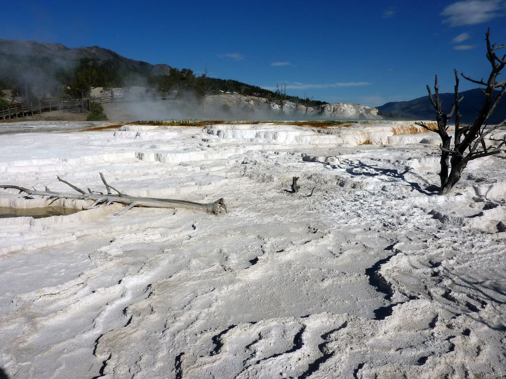 Yellowstone Mammoth Hotsprings (59).JPG